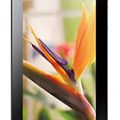 Huawei MediaPad 7 Vogue Teknik Özellikleri