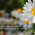 Cuma Mesajları