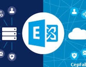 Microsoft Exchange Sunucu