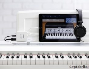 MIDI Müzik Enstrümanı Dijital Arayüzü