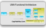 UMA