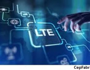 Uzun Vadeli Evrim (LTE)