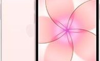 Apple iPhone 17e Teknik Özellikleri