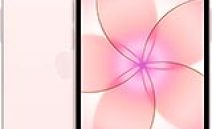 Apple iPhone 17e Teknik Özellikleri