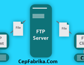 FTP Dosya Transfer Protokolü