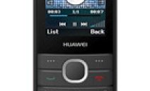 Huawei G3621L Teknik Özellikleri