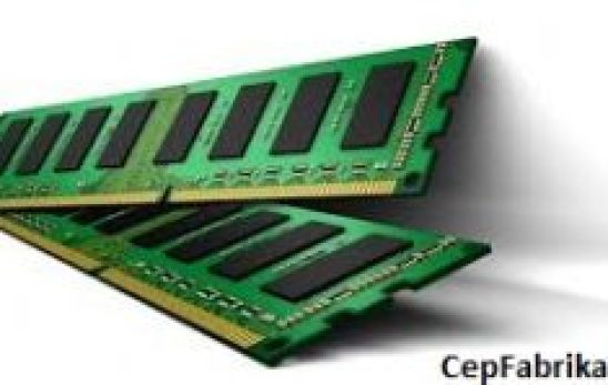 ROM Salt Okuma Belleği