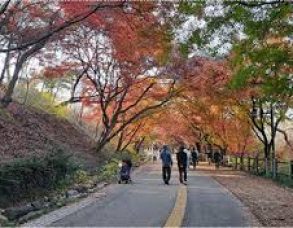 Galaxy S23 Nesne Silgisi nasıl kullanılır