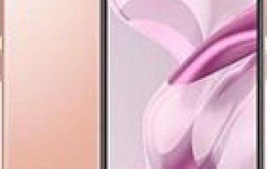 Xiaomi 11 Lite 5G NE Teknik Özellikleri